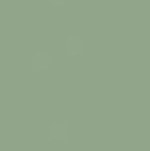 Meet your Posher, Ava